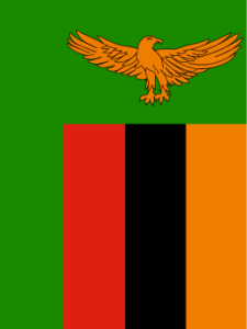 A picture of the Zambian flag as a placeholder instead of a picture for volunteers who do not feel comfortable sharing their picture online.